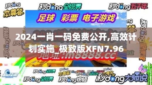 2024一肖一码免费公开,高效计划实施_极致版XFN7.96