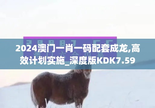 2024澳门一肖一码配套成龙,高效计划实施_深度版KDK7.59