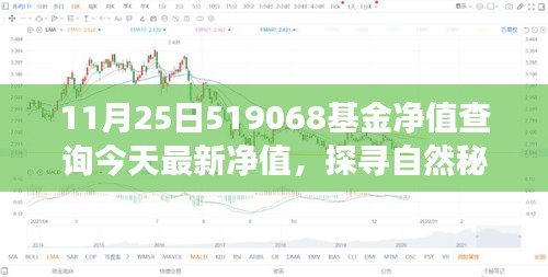 探寻自然秘境之旅，今日最新净值揭晓，启程探寻心灵之旅的基金之旅（关于519068基金净值查询）