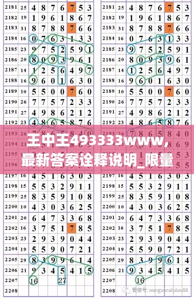 王中王493333www,最新答案诠释说明_限量版VZS7.45