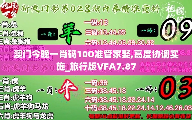 澳门今晚一肖码10O准管家娶,高度协调实施_旅行版VFA7.87