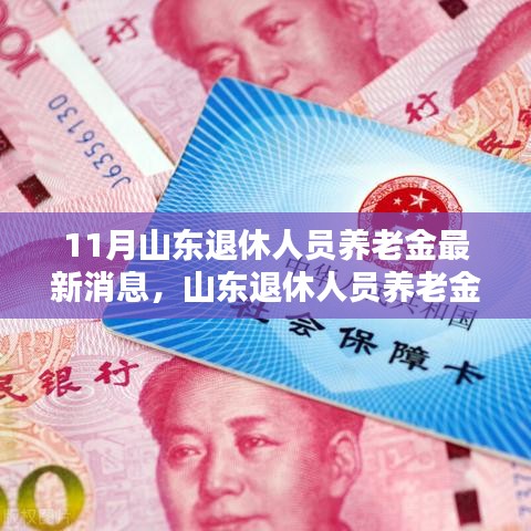 山东退休人员养老金最新消息聚焦解析，聚焦要点概览