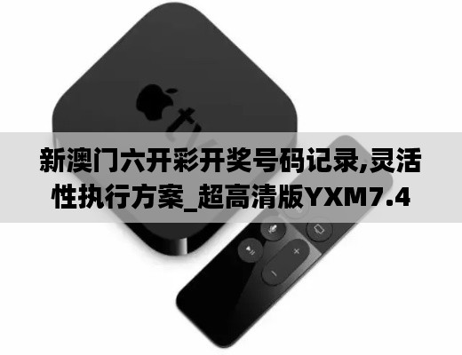 新澳门六开彩开奖号码记录,灵活性执行方案_超高清版YXM7.42