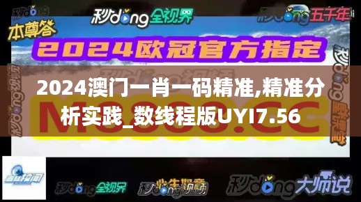 2024澳门一肖一码精准,精准分析实践_数线程版UYI7.56