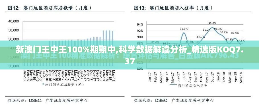 新澳门王中王100%期期中,科学数据解读分析_精选版KOQ7.37