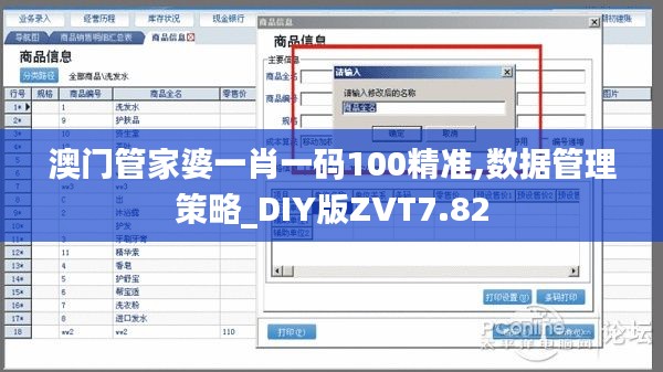 澳门管家婆一肖一码100精准,数据管理策略_DIY版ZVT7.82