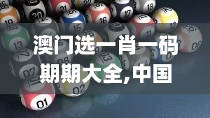 澳门选一肖一码期期大全,中国语言文学_结合版BCW7.38