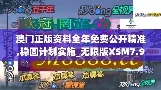 澳门正版资料全年免费公开精准,稳固计划实施_无限版XSM7.94