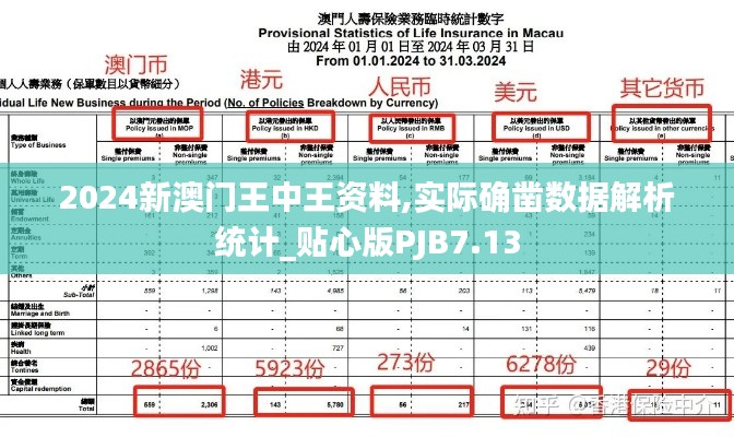 2024新澳门王中王资料,实际确凿数据解析统计_贴心版PJB7.13