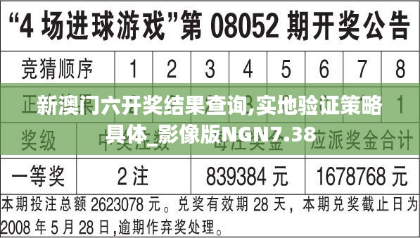 新澳门六开奖结果查询,实地验证策略具体_影像版NGN7.38