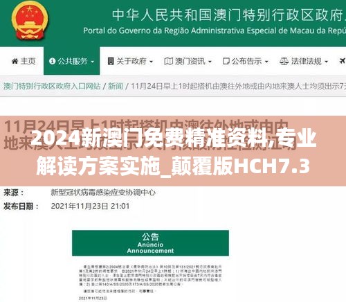 2024新澳门免费精准资料,专业解读方案实施_颠覆版HCH7.31