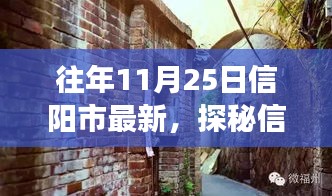 探秘信阳市隐藏小巷的独特风味，一家神秘小店的冬日故事（往年11月25日最新）