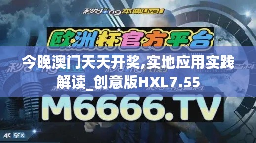 今晚澳门天天开奖,实地应用实践解读_创意版HXL7.55