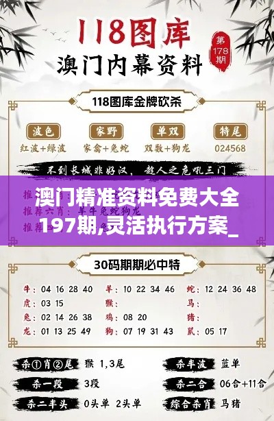 澳门精准资料免费大全197期,灵活执行方案_UHDGSC7.32