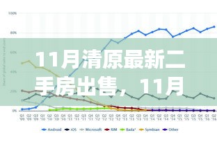 11月清原最新二手房市场动态，市场走势深度解析与出售策略建议