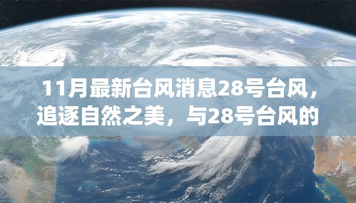 与台风同行，探寻自然之美，追逐奇妙之旅——探寻最新台风消息与28号台风的魅力之旅