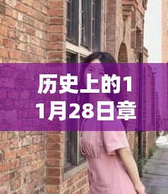 章颖颖，历史上的11月28日最新消息概览