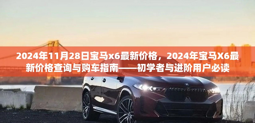 2024年宝马X6最新价格及购车指南，初学者与进阶用户必读