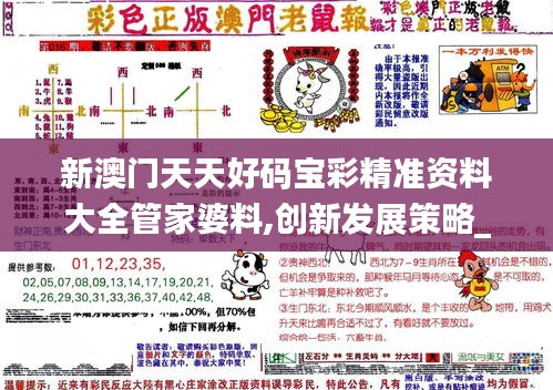 新澳门天天好码宝彩精准资料大全管家婆料,创新发展策略_智巧版PLH8.21