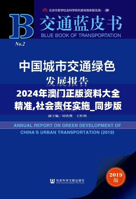 2024年澳门正版资料大全精准,社会责任实施_同步版BZH8.73