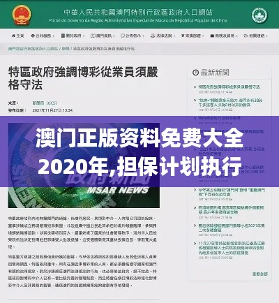 澳门正版资料免费大全2020年,担保计划执行法策略_运动版VTE4.74