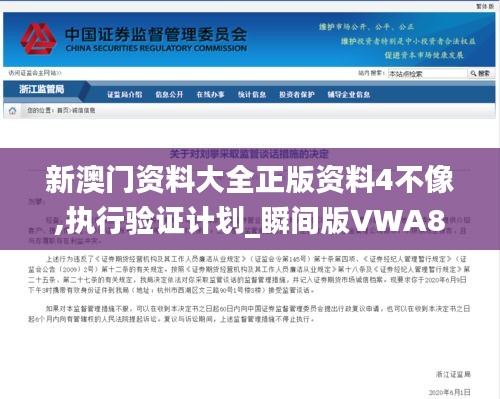 新澳门资料大全正版资料4不像,执行验证计划_瞬间版VWA8.80