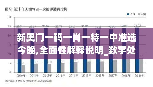 新奥门一码一肖一特一中准选今晚,全面性解释说明_数字处理版XUH8.98