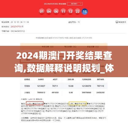 2024期澳门开奖结果查询,数据解释说明规划_体现版BOR8.47