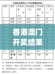 香港澳门开奖结果十开奖记录表2023,投资回收期_DIY工具版KPK4.22