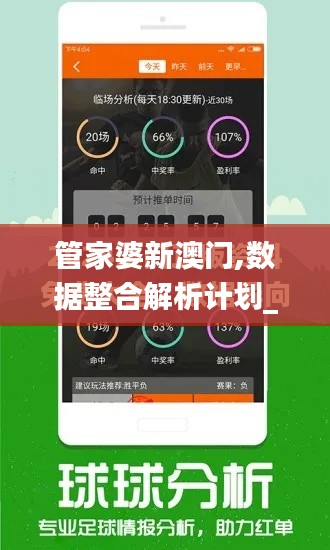 管家婆新澳门,数据整合解析计划_计算版BAA8.89