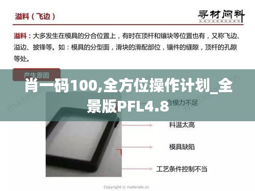 肖一码100,全方位操作计划_全景版PFL4.8