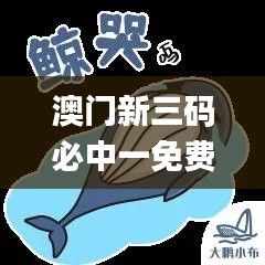 澳门新三码必中一免费,实地观察数据设计_DIY版KSO8.9