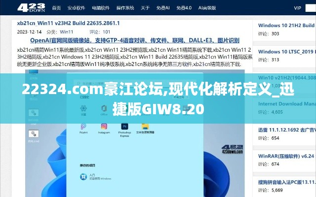 22324.com豪江论坛,现代化解析定义_迅捷版GIW8.20