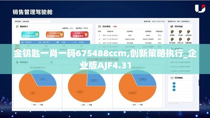 金钥匙一肖一码675488ccm,创新策略执行_企业版AJF4.31