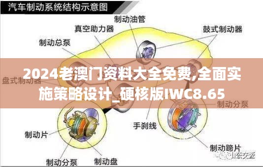 2024老澳门资料大全免费,全面实施策略设计_硬核版IWC8.65