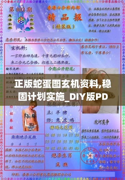 正版蛇蛋图玄机资料,稳固计划实施_DIY版PDF8.83