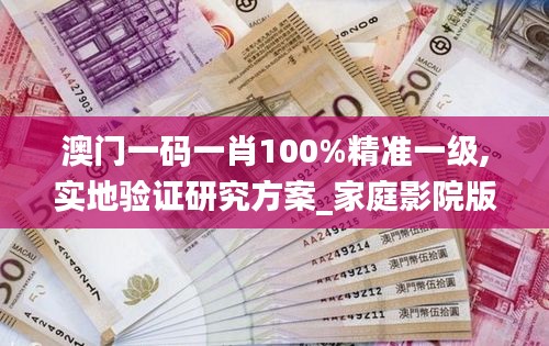 澳门一码一肖100%精准一级,实地验证研究方案_家庭影院版LMW8.20