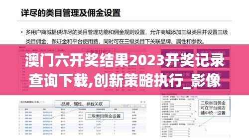 澳门六开奖结果2023开奖记录查询下载,创新策略执行_影像版JXS4.38