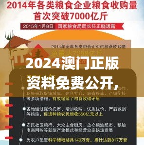 2024澳门正版资料免费公开,操作实践评估_未来版VMF8.99