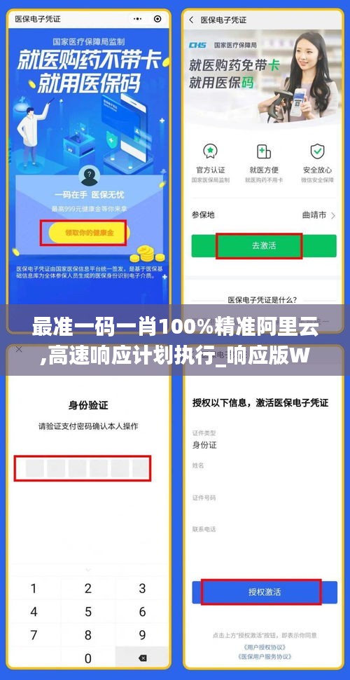 最准一码一肖100%精准阿里云,高速响应计划执行_响应版WMQ8.49