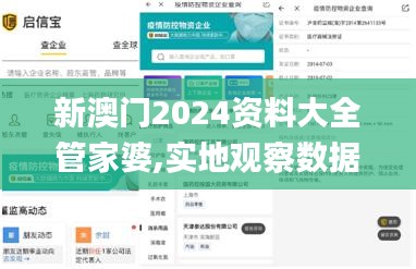 新澳门2024资料大全管家婆,实地观察数据设计_安全版ILW8.73