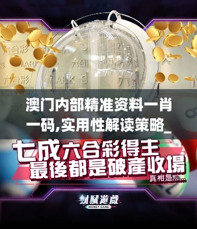 澳门内部精准资料一肖一码,实用性解读策略_迷你版UHV8.32