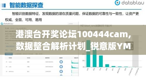 港澳台开奖论坛100444cam,数据整合解析计划_锐意版YMT8.29