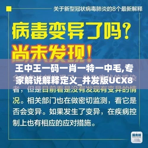 王中王一码一肖一特一中毛,专家解说解释定义_并发版UCX8.78