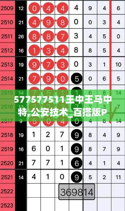 577577511王中王马中特,公安技术_百搭版PPX8.69