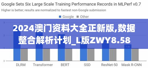 2024澳门资料大全正新版,数据整合解析计划_L版ZWY8.58