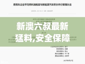 新澳六叔最新猛料,安全保障措施_并行版ZXX8.80