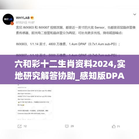 六和彩十二生肖资料2024,实地研究解答协助_感知版DPA8.56