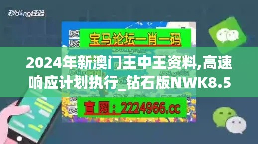 2024年新澳门王中王资料,高速响应计划执行_钻石版NWK8.5