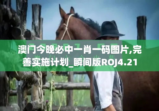 澳门今晚必中一肖一码图片,完善实施计划_瞬间版ROJ4.21